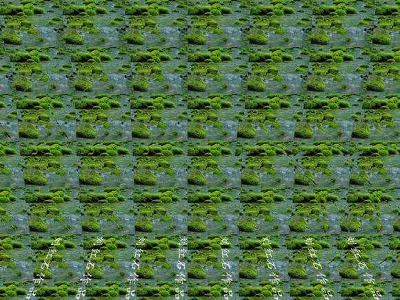 3d裸眼立体画图片